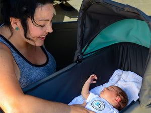 2016/ 2017 Indie Twin Bassinet/Carrycot